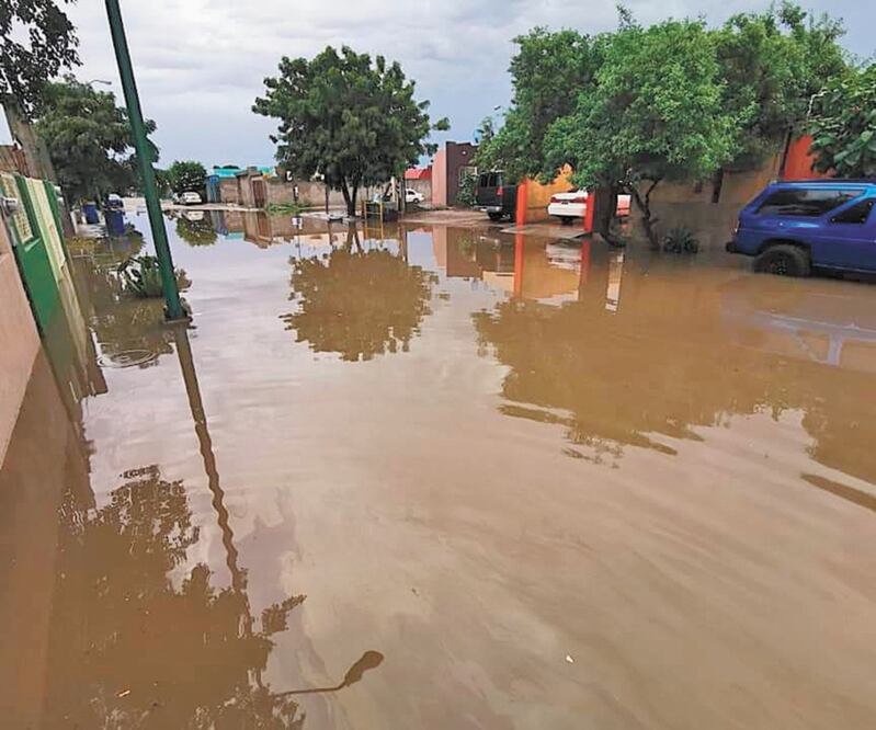 Protección Civil de Baja California Sur informó que en 12 horas de lluvias se registraron arriba de 130 milímetros en comunidades de La Paz, lo que derivó en inundaciones y crecidas de arroyos, sobre todo en el sur. ESPECIAL