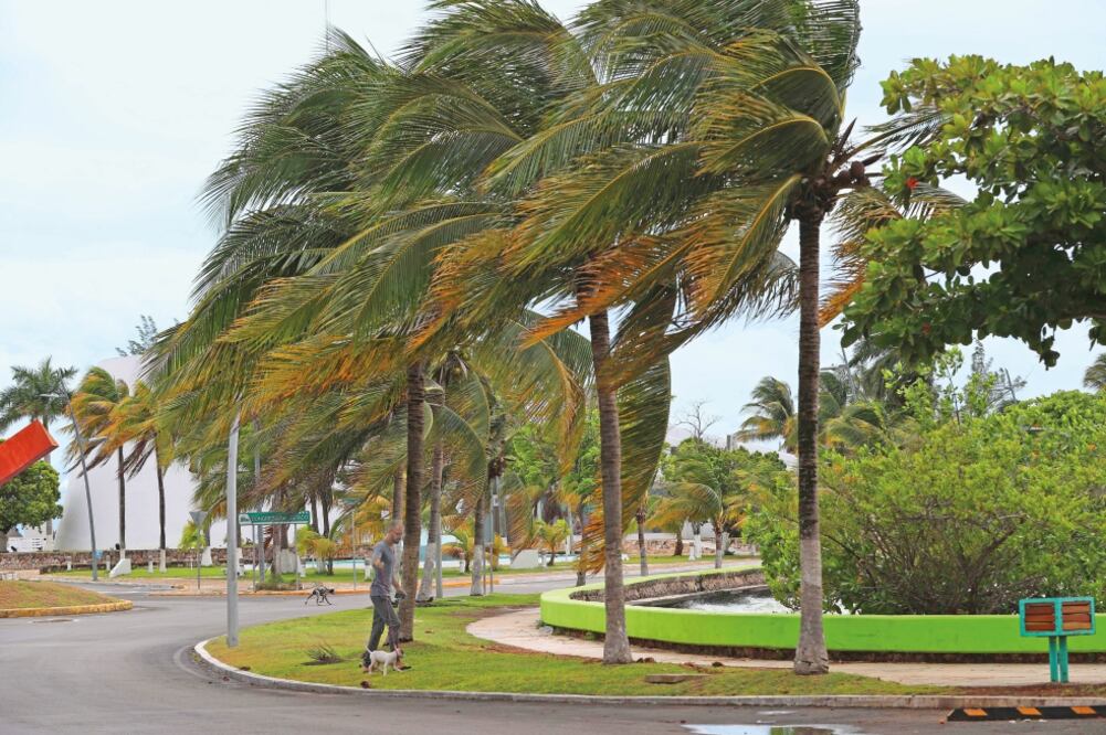 Prevención. La Conagua informó que 17 de las 32 tormentas tropicales serán huracanes formados en los litorales de México. Foto:ARCHIVO EL UNIVERSAL