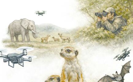 Historias del comportamiento animal