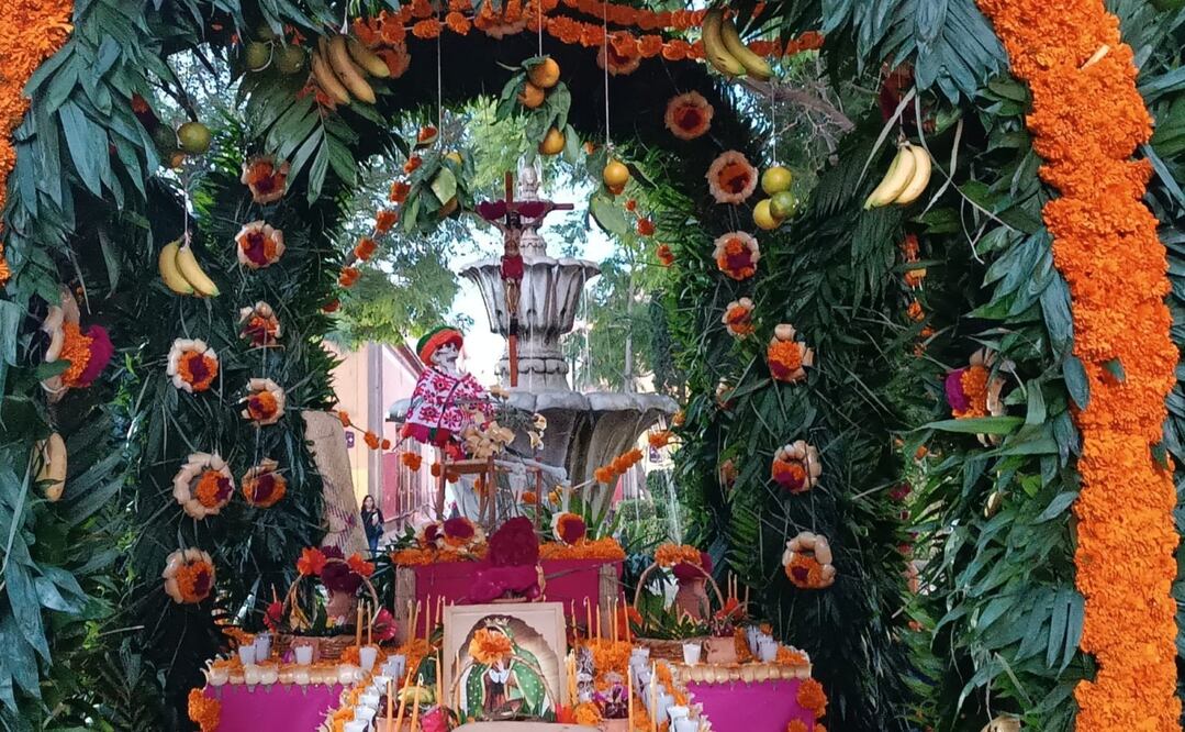 Foto: Xochiquetzal Rangel / EL UNIVERSAL