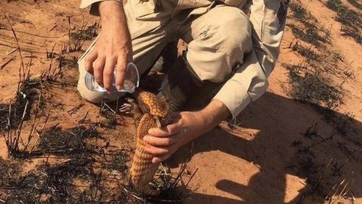 Pedro Ribas Alves es el sargento de los bomberos de Mato Grosso que se acercó a un armadillo para darle agua. Foto: Cortesía 