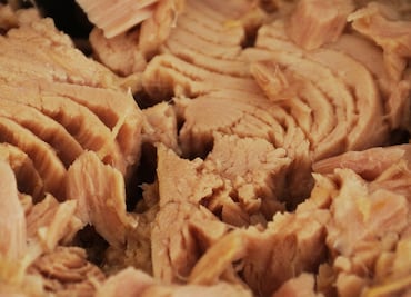 México pierde “batalla del atún” frente a Estados Unidos