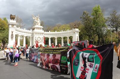 Protestan contra corridas de toros en CDMX