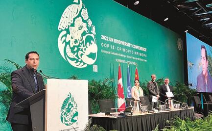 Vila hace llamado internacional a cuidar el ambiente 