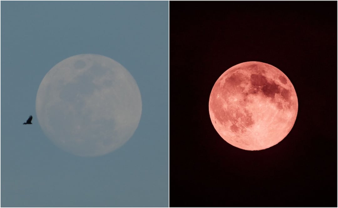 Así se vio la Luna Rosa 2026 la noche del 1 de abril desde diversas partes de México. Foto: X