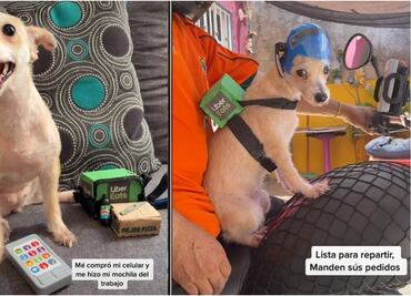 Con casco y mochila térmica, perrita repartidora se hace viral en TikTok