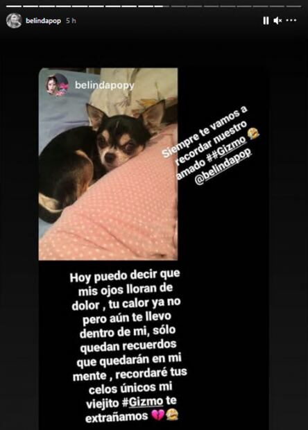 Belinda llora la muerte de su perro Gizmo, su bebé