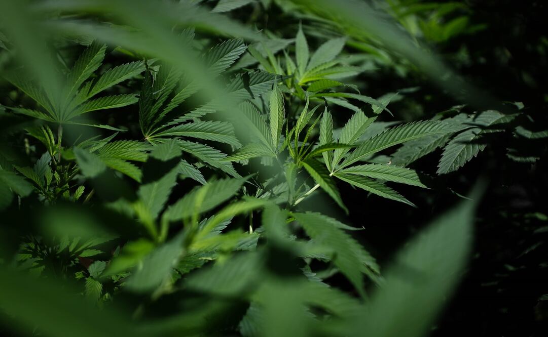 Foto: Archivo / EL UNIVERSAL