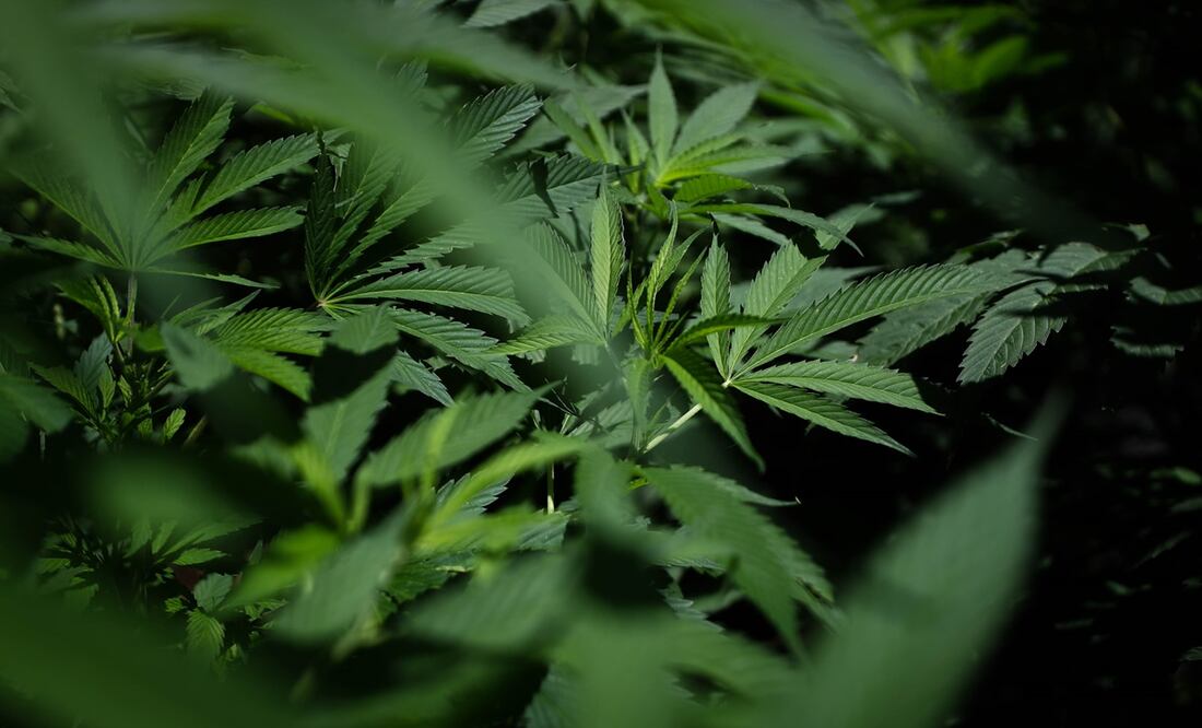 Foto: Archivo / EL UNIVERSAL