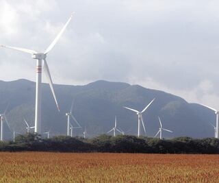 Dan revés al Cenace; frenan acuerdo contra renovables