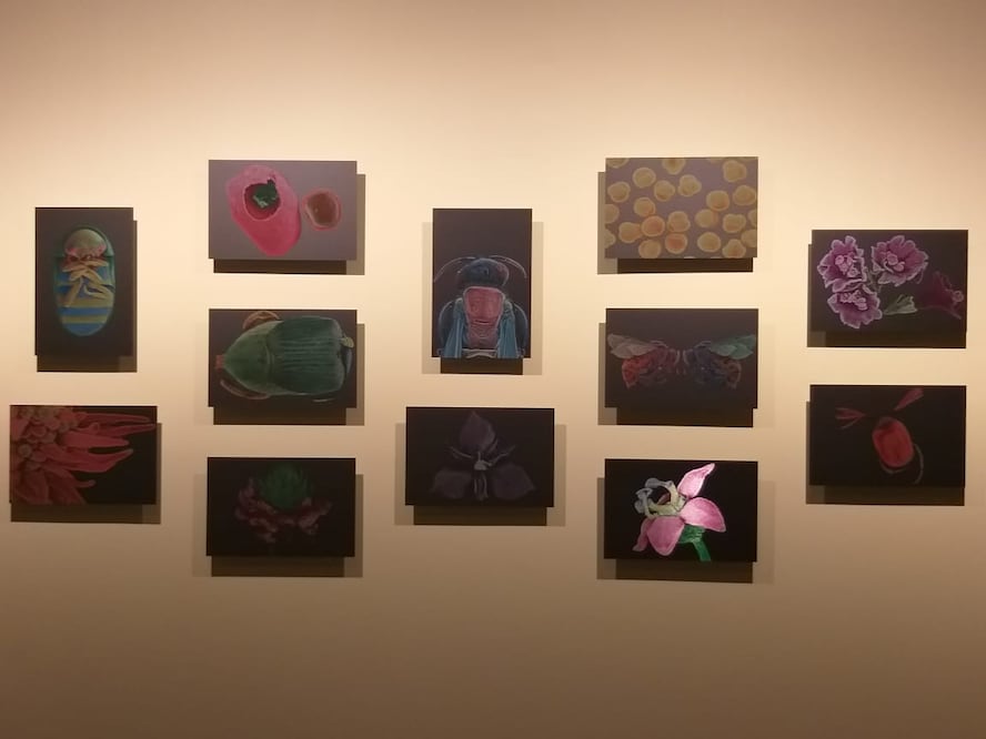 FOTO: Vania Alexia Rodríguez