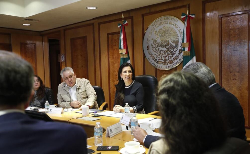 Integrantes de la organización Somos México se reunieron con la presidenta de la Cámara de Diputados, Kenia López Rabadán, este jueves 8 de enero de 2026. Foto: Especial