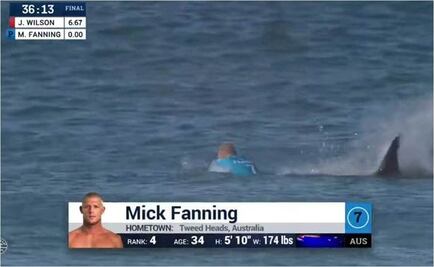 Captan ataque de tiburón a surfista en Sudáfrica 