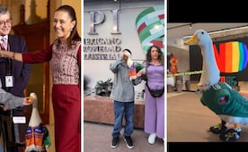 De Palacio Nacional a las oficinas de Netflix; el increíble tour del pato Merlín por México