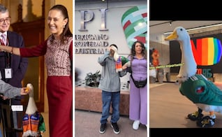De Palacio Nacional a las oficinas de Netflix; el increíble tour del pato Merlín por México