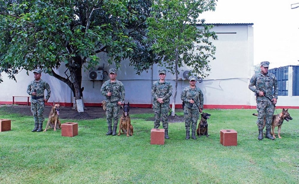 Hacen equipo para detectar sustancias prohibidas