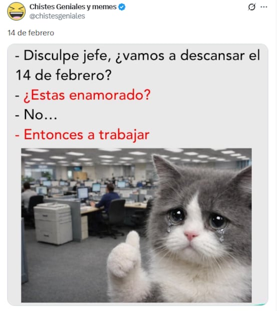 Memes del 14 de febrero. Foto: X