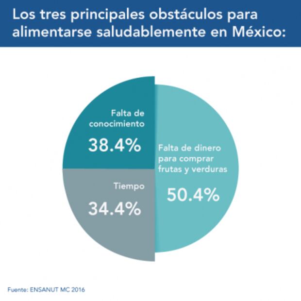 ¿Existe en México la educación alimentaria? 