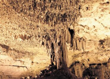 Acuífero Maya va por declaratoria de UNESCO