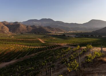 Bodegas Cetto estrena documental “Agricultores de Corazón” producido por National Geographic