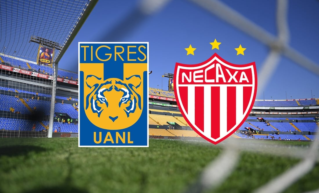 Tigres vs Necaxa ¡EN VIVO! - Foto: Imago7