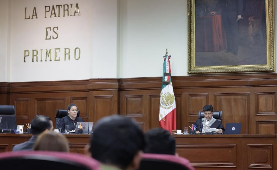 Corte amplía criterio sobre aborto legal (20/04/2026). Foto: Especial