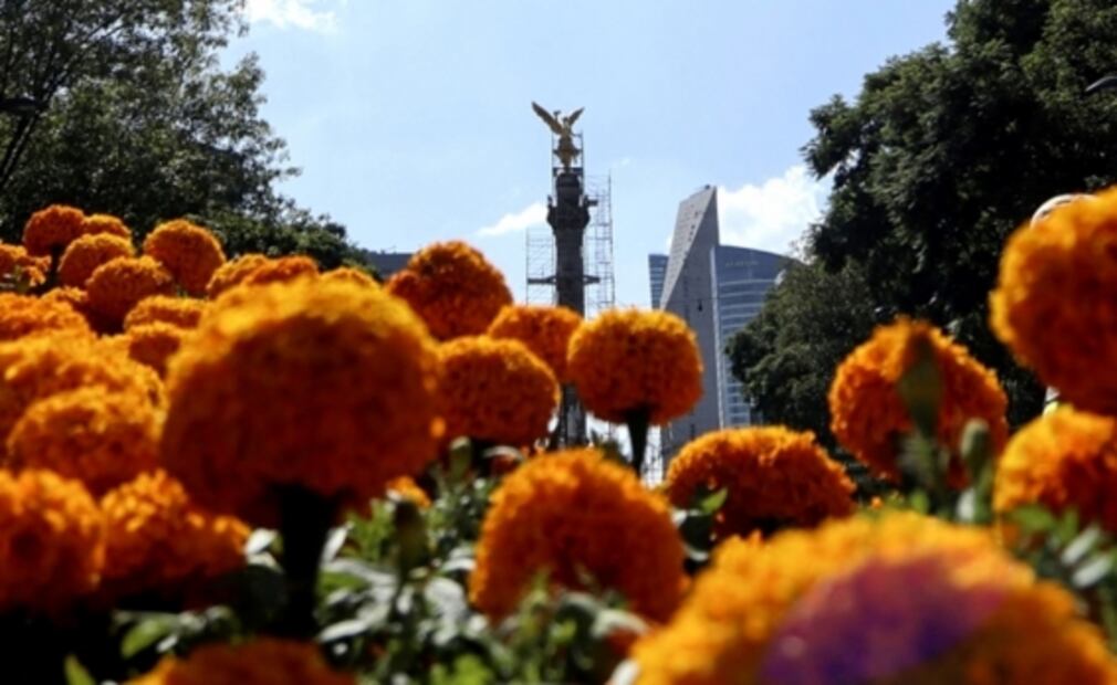 Lugares clave para pasar el Día de Muertos en México
