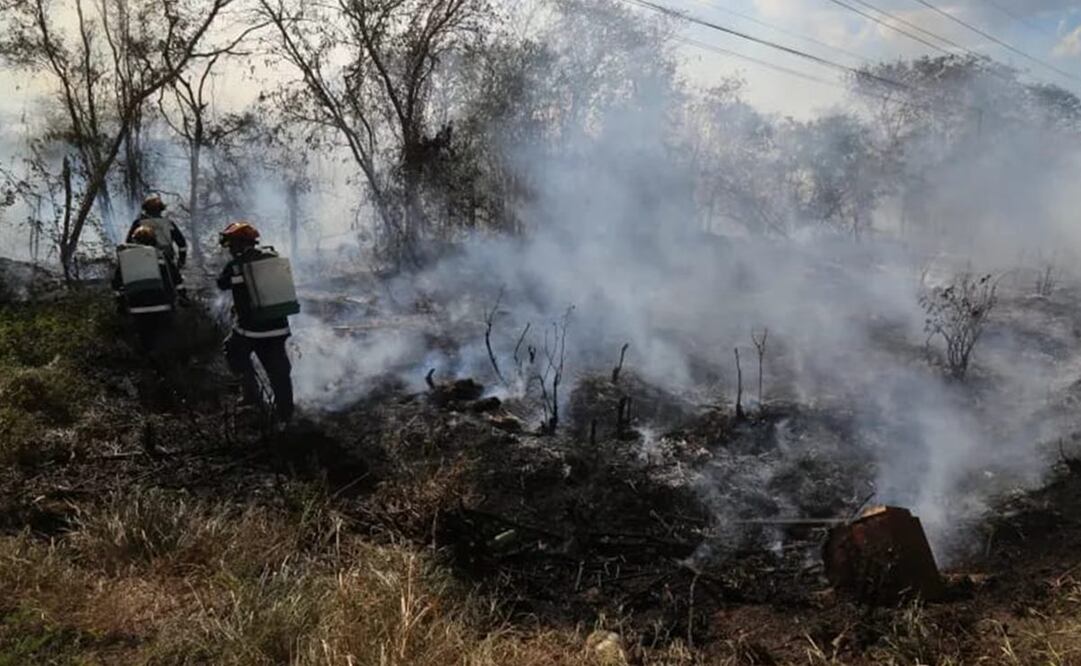 Protección Civil de Yucatán (Procivy) informó que la temporada de incendios de 2024 ha sido una de las más intensas de los últimos seis años. Foto: especial