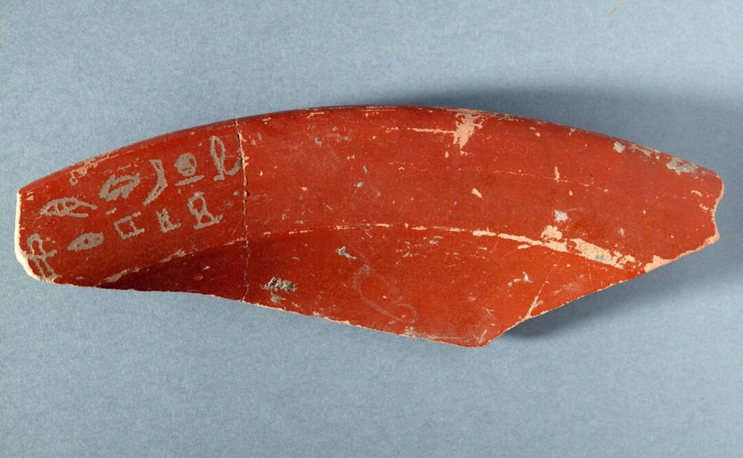 Foto: EFE/Diputación Foral de Álava, archivo