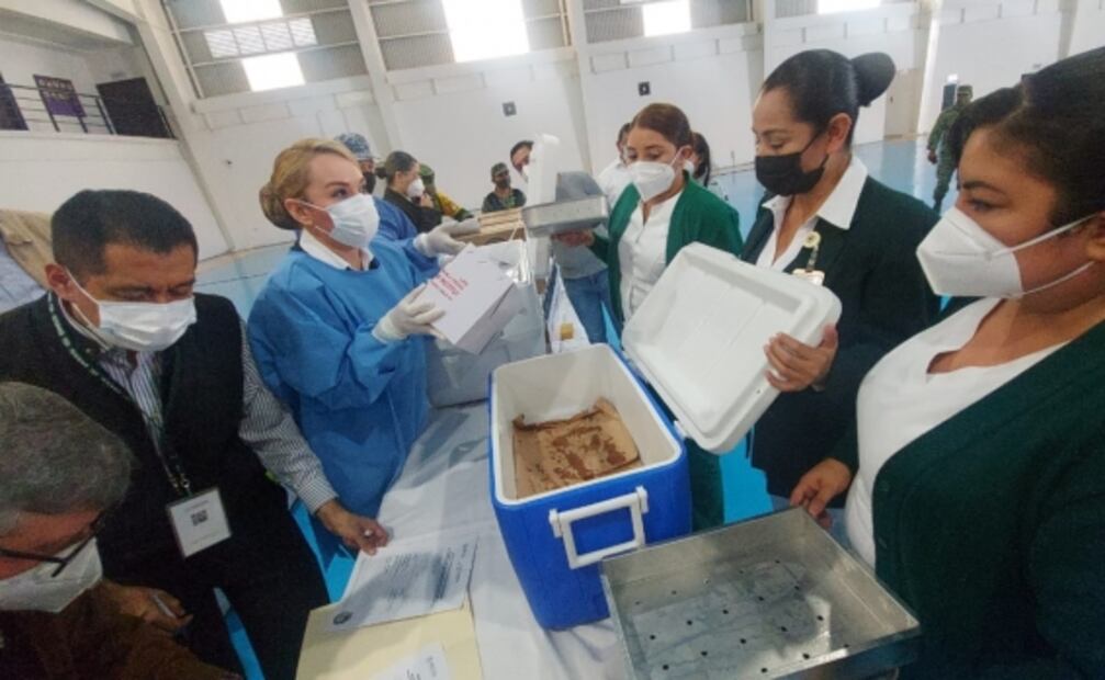 Llegan a los estados nuevos cargamentos con vacunas contra Covid-19