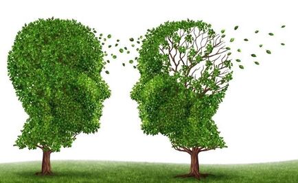 Diseñan una herramienta para determinar el riesgo de Alzheimer