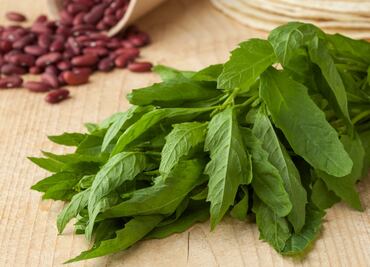 Epazote, una planta ancestral ¿Cómo usarla en la cocina?