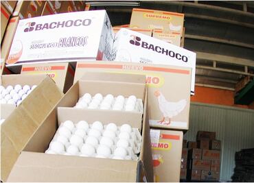 Bachoco alerta por intentos de fraude con ofertas falsas de empleo a su nombre; pide verificar información en sus fuentes oficiales