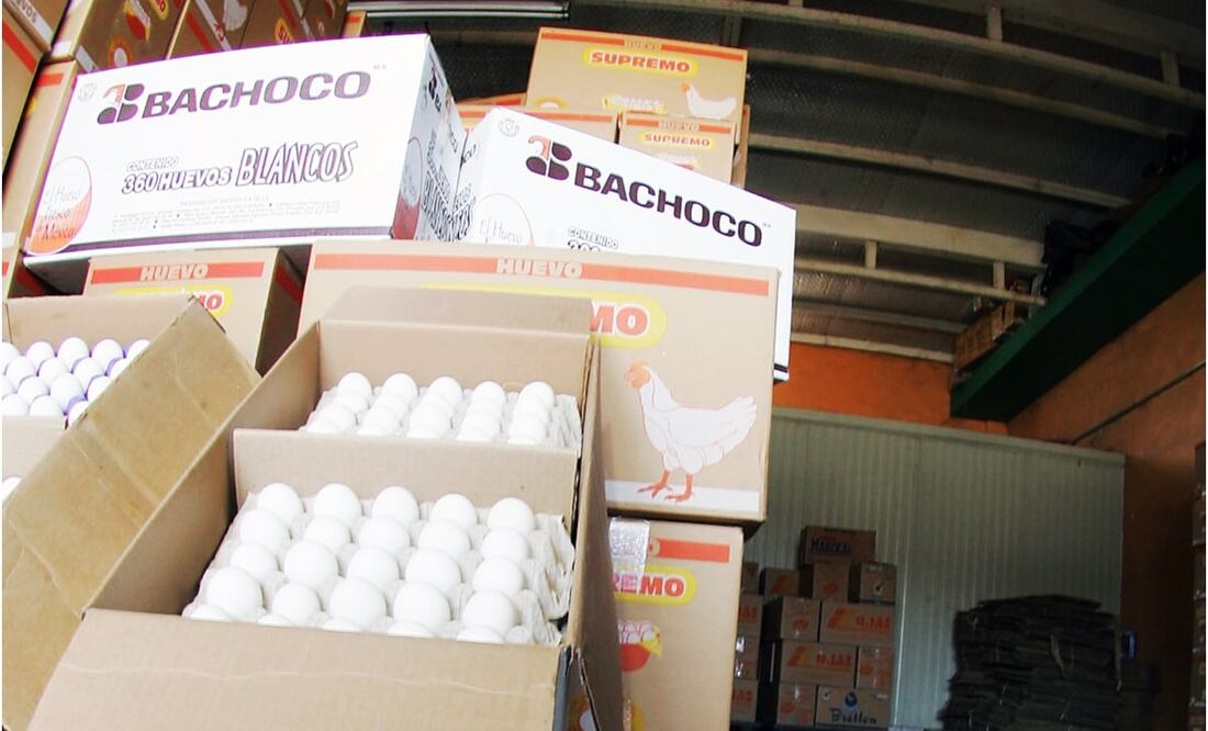 Grupo Bachoco emitió una alerta sobre intentos de fraudes a su nombre que circulan en redes sociales y sitios web no oficiales. Foto: Archivo/El Universal