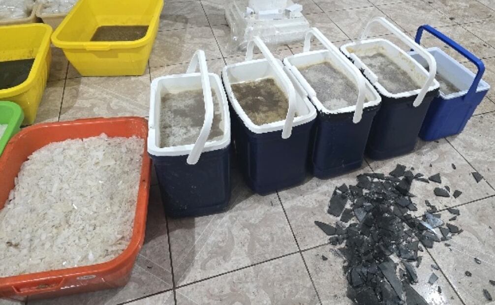 A a Jerhemy Álvaro González Sepúlveda y Gael González Espinoza, a quienes se le aseguró un arma de fuego corta, un cargador, siete cartuchos de diferentes calibres, metanfetamina, así como garrafones de plástico que contenían precursores químicos. Foto: Especial