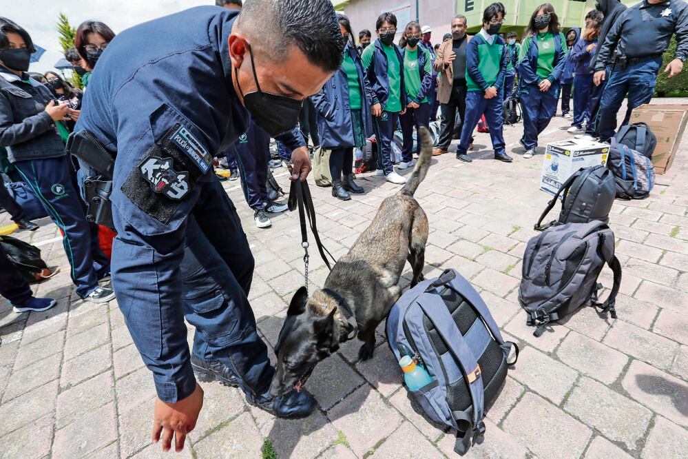 La revisión no estará a cargo de las autoridades de seguridad, salvo casos excepcionales, señaló la presidenta de la Comisión de Derechos Humanos. Foto: Archivo