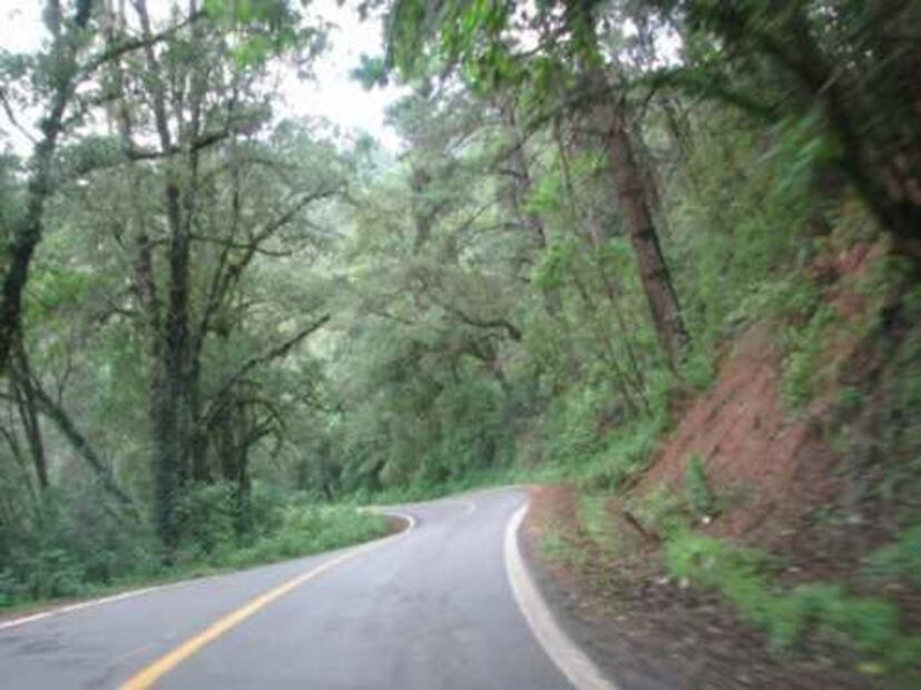 Las 5 carreteras más divertidas de manejar en México