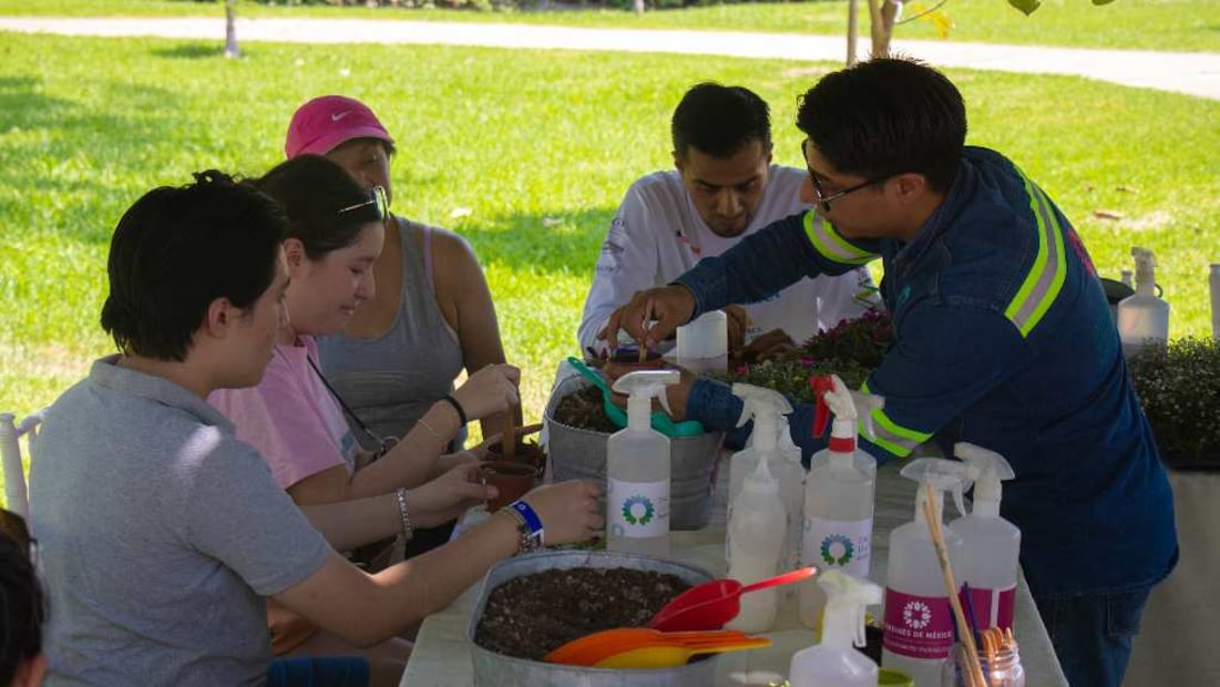 Foto: Jardines de México