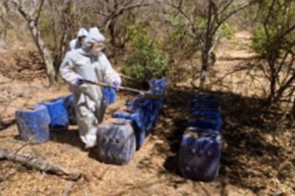 Desmantelan nueve laboratorios clandestinos en Sinaloa; suman 161 en marzo. Foto: Especial