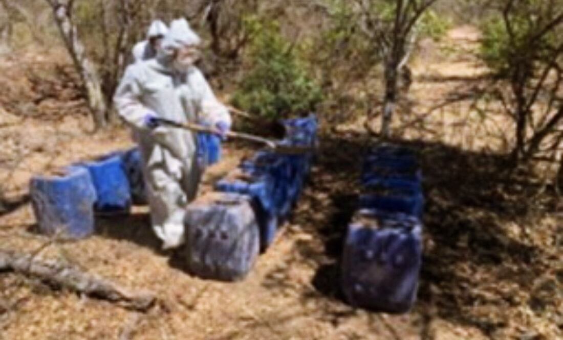 Desmantelan nueve laboratorios clandestinos en Sinaloa; suman 161 en marzo. Foto: Especial