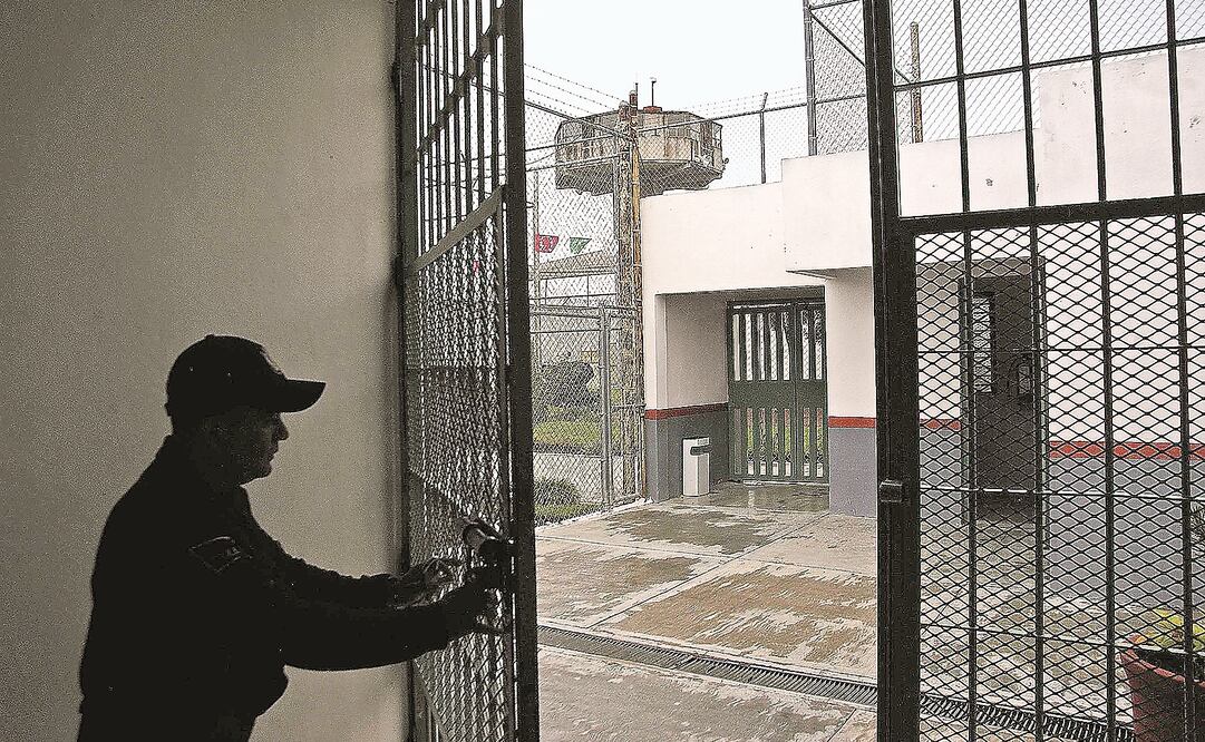 Encuentran ahorcado a culpable de feminicidio en Celaya