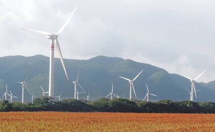 Semarnat: México lidera programa para controlar cambio climático mundial