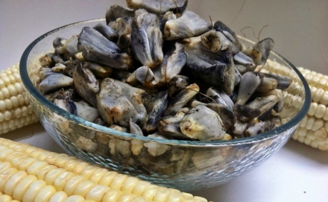 El cuitlacoche es un hongo parásito que infecta al maíz. (FOTO: Especial)