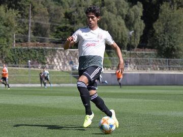 Martino le habría prometido un llamado a Macías