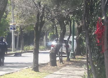 Hallan cadáver de hombre dentro de camioneta BMW en Lomas de Chapultepec