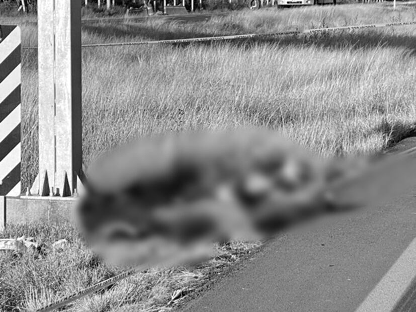 Hallan 7 cuerpos en límites de San Luis Potosí y Zacatecas