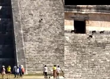 VIDEO Captan a perrito subiendo castillo de Chichén Itzá en Yucatán; se une a otros canes que cuidan el lugar
