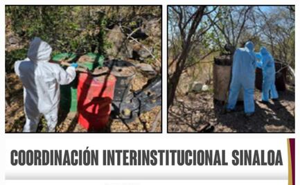 Suman 63 laboratorios clandestinos asegurados en varios puntos de Sinaloa; fueron hallados en solo una semana