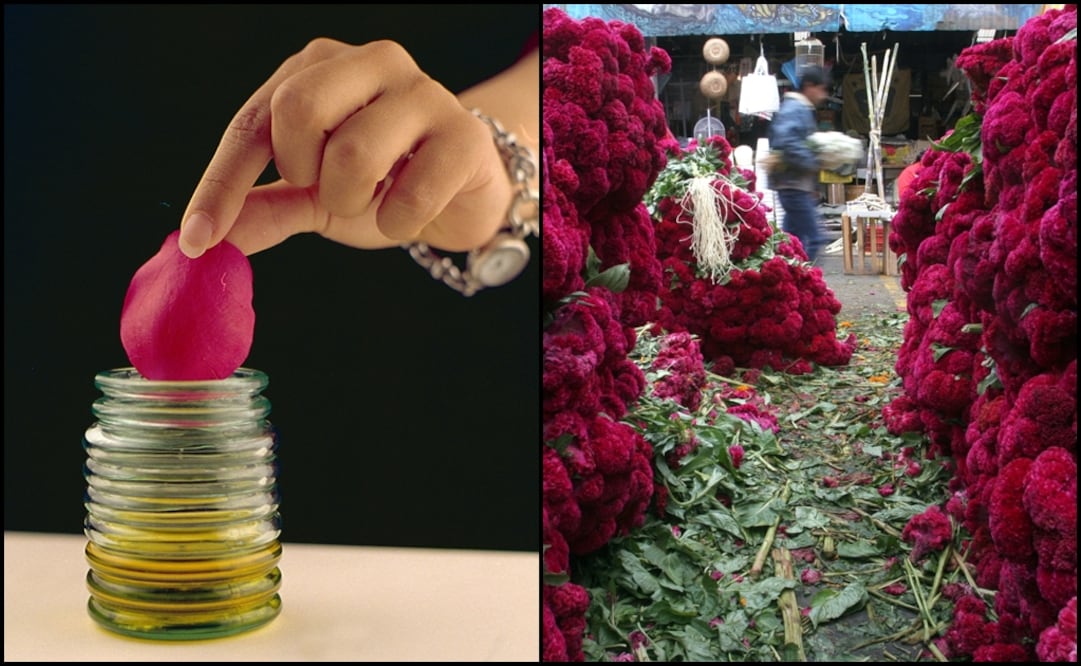 According to a study published by the National Polytechnic Institute, through the Center for the Development of Biotic Products of Morelos, there are more than 70 flowers suitable for human consumption