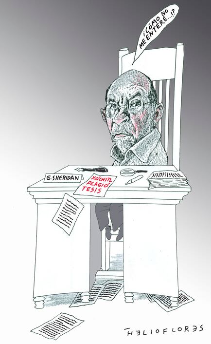 Cartón de HELIOFLORES